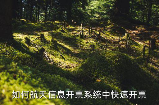 航天信息如何開(kāi)票，怎么在航天信息開(kāi)票軟件開(kāi)紅字發(fā)票