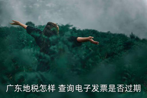 如何查詢電子發(fā)票是否有效，廣東地稅怎樣 查詢電子發(fā)票是否過(guò)期