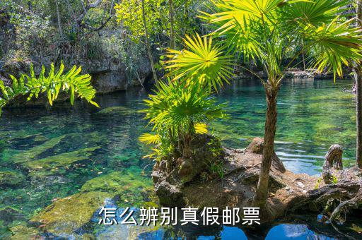 如何查油票的真?zhèn)?，到底怎樣才能辨別鑒定郵票的真假呢