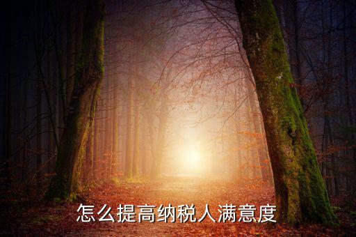 如何提升納稅人獲得感，怎么提高納稅人滿意度