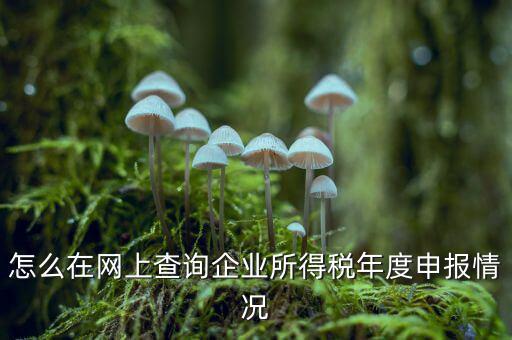 如何查詢(xún)企業(yè)個(gè)稅申報(bào)名單，怎樣查詢(xún)公司的所得稅已經(jīng)申報(bào)了