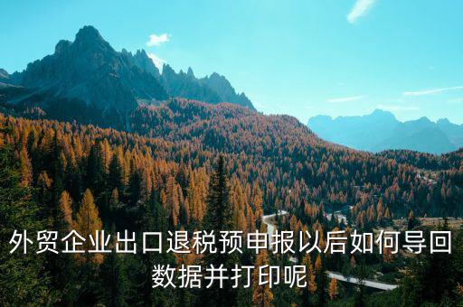 出口退免稅備案如何打印，外貿(mào)企業(yè)出口退稅預(yù)申報以后如何導(dǎo)回數(shù)據(jù)并打印呢