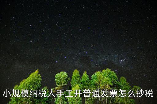 小規(guī)模納稅人開票系統(tǒng)如何抄報(bào)稅，小規(guī)模稅款控盤如何抄報(bào)稅