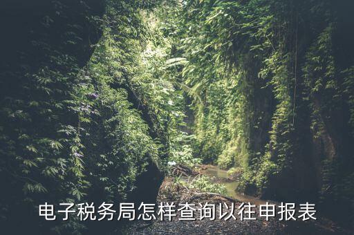 寧波地稅如何查往期申報信息，怎樣查看地稅網(wǎng)上申報記錄