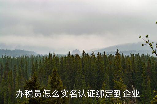 重慶稅務(wù)局辦稅人員如何綁定，個(gè)人怎么綁定企業(yè)辦稅員