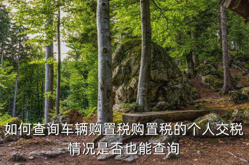 如何查汽車購(gòu)置稅，我想查查我的車輛購(gòu)置稅是多少怎么查