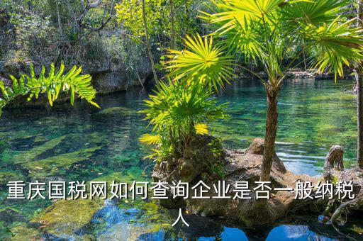 如何在國(guó)稅網(wǎng)查是否一般納稅人，怎么在網(wǎng)上查一個(gè)單位是不是一般納稅人