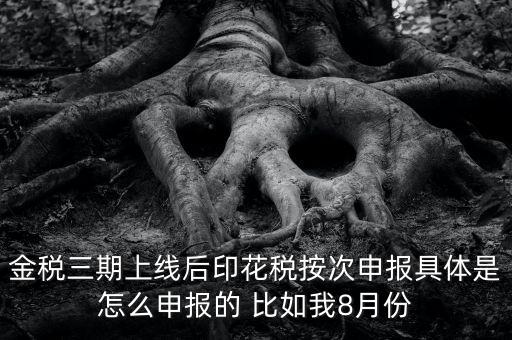 金稅三期如何填報印花稅表，印花稅申報報表要怎么填啊