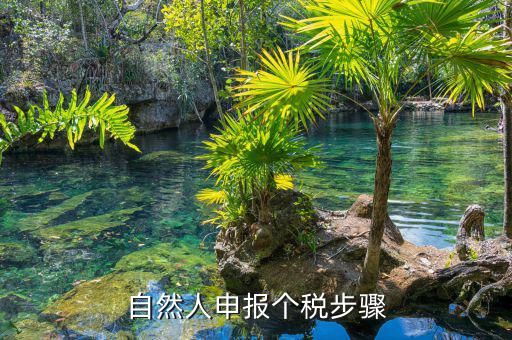 如何使用自然人納稅系統(tǒng)，新辦企業(yè)怎樣登錄自然人電子稅務(wù)局扣繳端