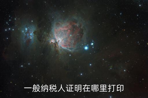 如何打印一般納稅人證明文件，一般納稅人資格認(rèn)定表如何在網(wǎng)上打印文書(shū)