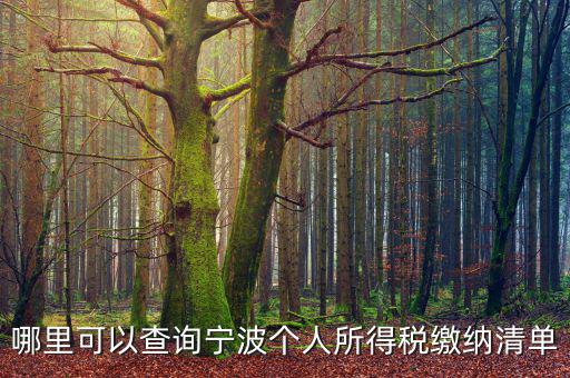 寧波個(gè)人納稅如何查詢，哪里可以查詢寧波個(gè)人所得稅繳納清單
