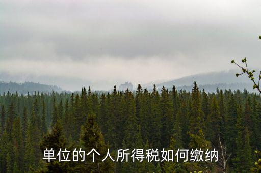 企業(yè)個(gè)人所得稅如何繳納，私營(yíng)企業(yè)職工個(gè)人所得稅如何繳納