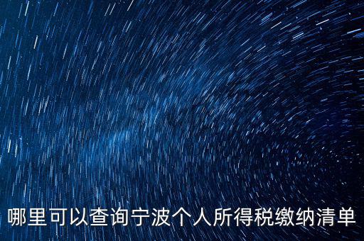 哪里可以查詢寧波個(gè)人所得稅繳納清單