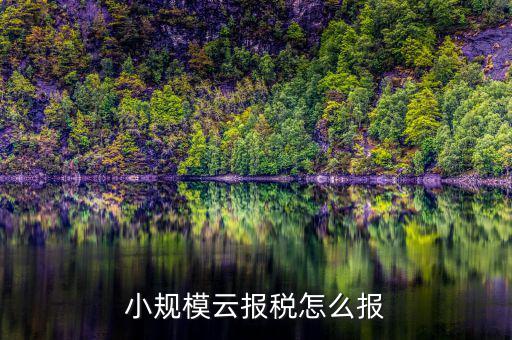 如何在云辦稅廳報稅，小規(guī)模云報稅怎么報