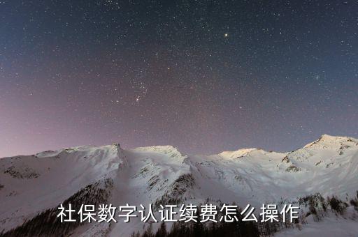 數(shù)字證書如何續(xù)費(fèi)，社保和公積金的數(shù)字證書到期怎么續(xù)費(fèi)啊