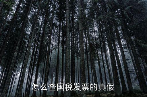 國(guó)稅如何驗(yàn)證發(fā)票，增值稅發(fā)票網(wǎng)上怎么認(rèn)證