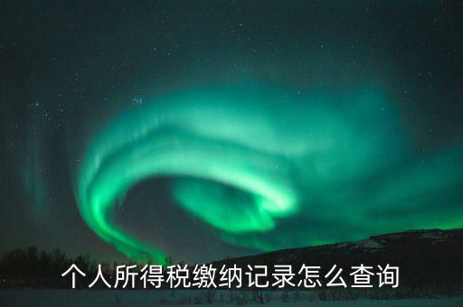 個(gè)人所得稅繳納記錄怎么查詢