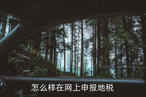 地稅網(wǎng)站如何注冊，地稅網(wǎng)上申報(bào)注冊怎么操作