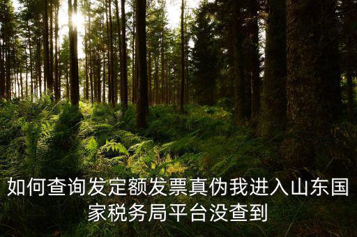 公交卡定額發(fā)票如何查詢真?zhèn)?，如何查詢發(fā)定額發(fā)票真?zhèn)挝疫M(jìn)入山東國(guó)家稅務(wù)局平臺(tái)沒(méi)查到