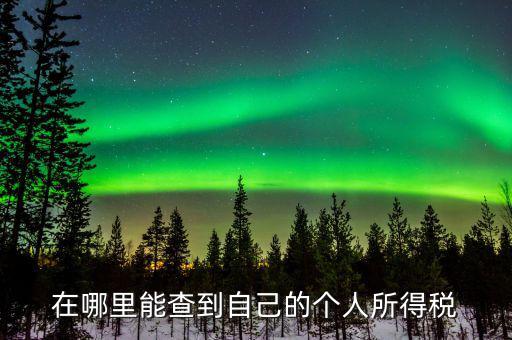 稅務(wù)如何查個(gè)稅，個(gè)稅怎么查