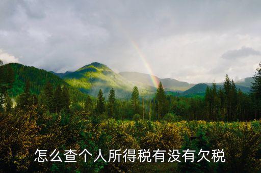 個人企業(yè)如何查欠稅啊，個體工商戶怎么查詢是否欠稅