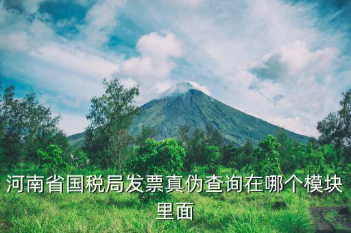 河南省國稅局發(fā)票真?zhèn)尾樵冊谀膫€模塊里面