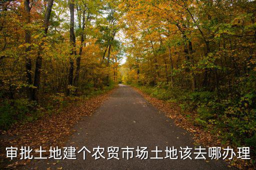 農(nóng)貿(mào)市場土地如何取得，審批土地建個農(nóng)貿(mào)市場土地該去哪辦理