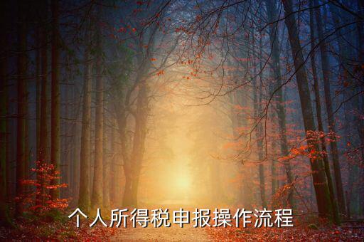 自然人所得稅如何安裝，個(gè)人所得稅如何進(jìn)行申報(bào)和核算
