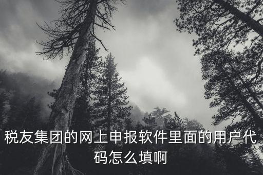 稅友軟件如何申報(bào)，稅友通是如何報(bào)稅的