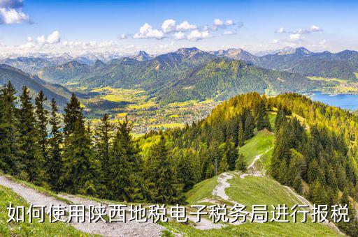 陜西地稅國稅網上如何申報，如何使用陜西地稅電子稅務局進行報稅