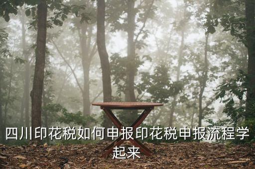 四川企業(yè)地稅如何網(wǎng)上申報，四川地稅企業(yè)所得稅怎么申報