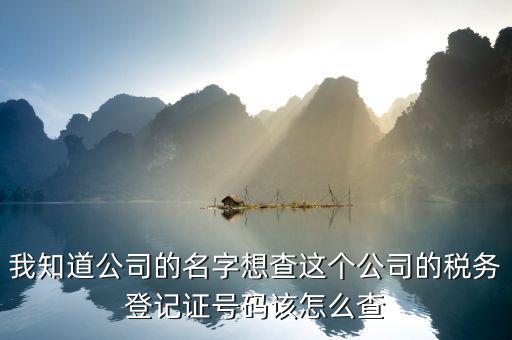 山東 如何查企業(yè)稅務信息查詢，我知道公司的名字想查這個公司的稅務登記證號碼該怎么查