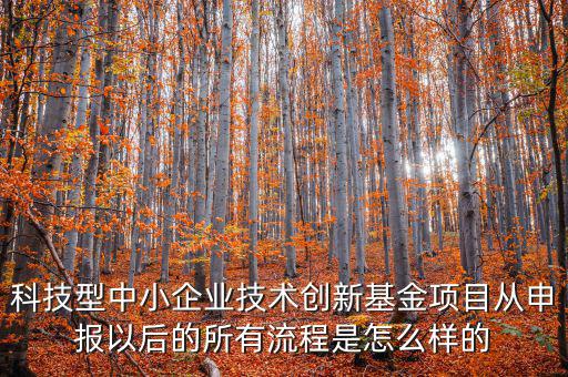 科技型優(yōu)惠如何備案，研發(fā)費(fèi)用加計(jì)扣除優(yōu)惠備案的要點(diǎn)有哪些