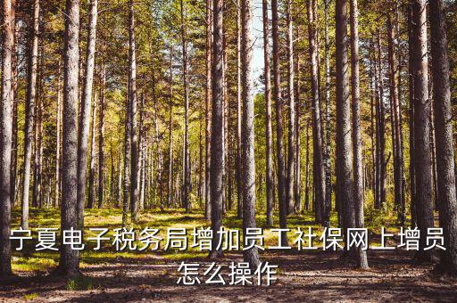 寧夏電子稅務(wù)系統(tǒng)如何開通，開通電子稅務(wù)局需要帶些什么東西去稅務(wù)局才能開通