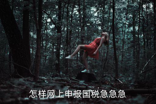 國稅網(wǎng)上稅務(wù)如何申報，怎樣網(wǎng)上申報國稅急急急