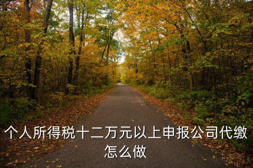 如何做好12萬元申報征收工作，個人所得稅十二萬元以上申報公司代繳怎么做