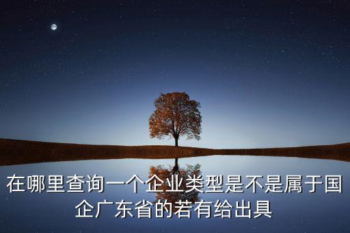 單位類型如何查詢，如何查詢企業(yè)管理類別