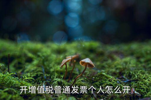 普票如何開給個人，增值稅普通發(fā)票開個人需要什么資料