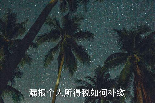 安徽省個(gè)稅如何補(bǔ)充申報(bào)，漏報(bào)個(gè)人所得稅如何補(bǔ)繳
