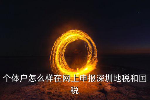 深圳市個稅如何申報系統(tǒng)，個體戶怎么樣在網(wǎng)上申報深圳地稅和國稅