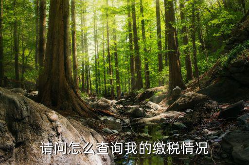 繳納稅款如何查詢，請問怎么查詢我的繳稅情況