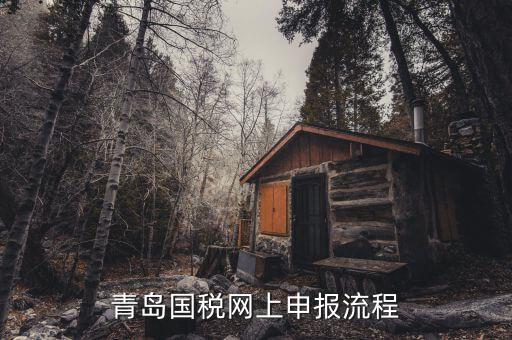 青島國地稅如何申報，國稅怎么申報