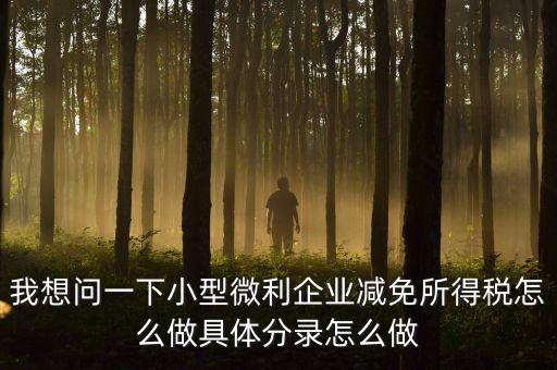 小微企業(yè)所得稅如何減免，我想問一下小型微利企業(yè)減免所得稅怎么做具體分錄怎么做