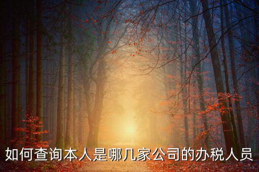 如何查詢企業(yè)辦稅人信息，怎么查詢單位登記稅務(wù)經(jīng)辦人