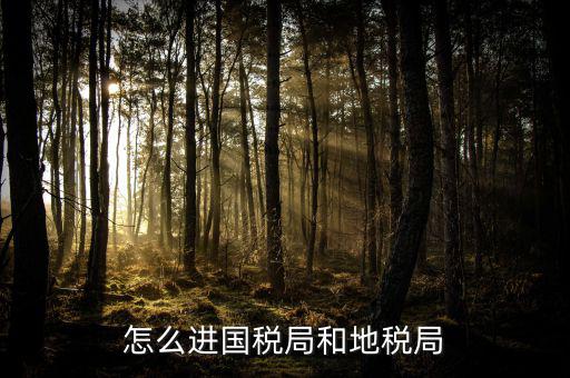 山西國稅系統如何進入地稅，怎么進國稅局和地稅局