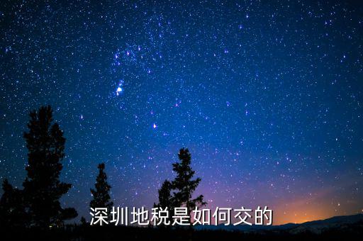 深圳市國家稅務(wù)局如何交稅，深圳市公司網(wǎng)上報國稅要這么操作啊