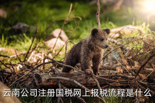 如何進(jìn)入云南網(wǎng)上稅務(wù)申報系統(tǒng)，如何進(jìn)行網(wǎng)上稅務(wù)申報