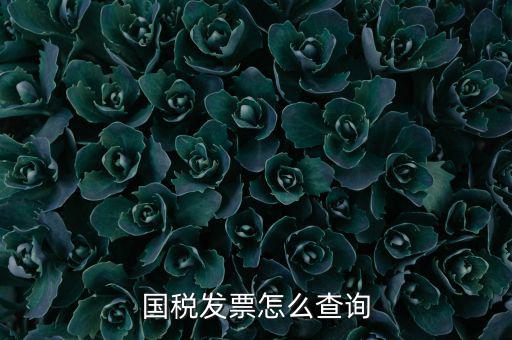 深圳市國稅局郵寄發(fā)票如何查詢，國稅發(fā)票怎么查詢