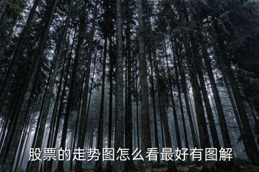  股票的走勢(shì)圖怎么看最好有圖解