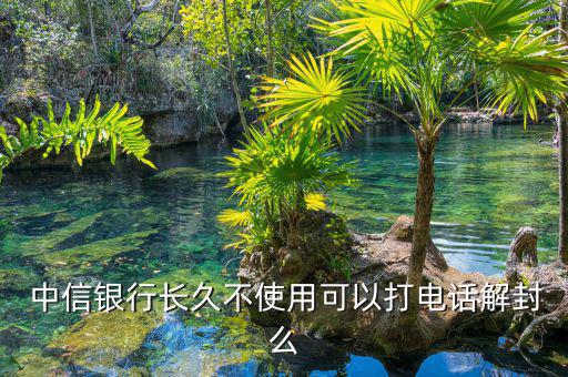 中信銀行信用卡凍結(jié)了怎么解凍,中信銀行信用卡逾期怎么辦
